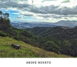 Above Novato