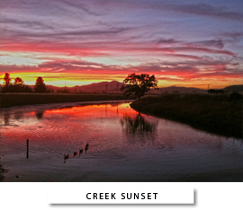 Creek Sunset